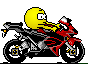 motard motard2